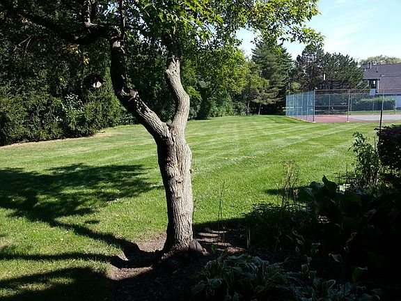4th image of 381 Elizabeth Dr #B