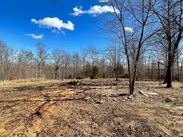 2 Berle Gene Lane, Pineville, MO 64856