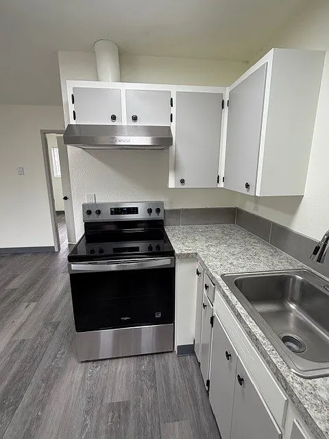 Kitchen (Picture 2)