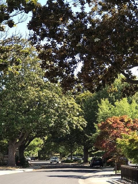Jackson Dr