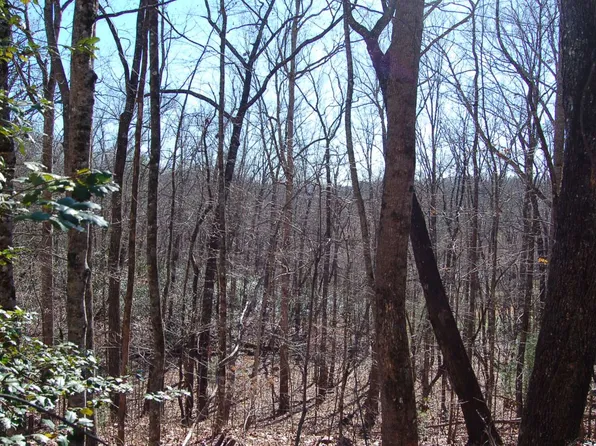 0 Timberline Ln, Hayesville, NC 28904