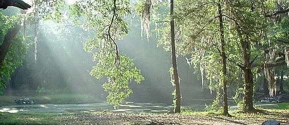 Old Florida Nature Preserve