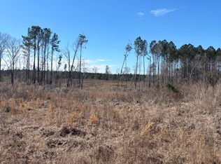 0 Glover Rd, Davisboro, GA 31018