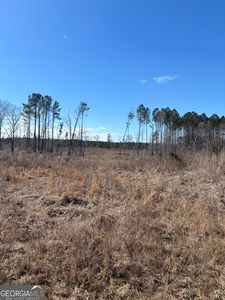 0 Glover Rd, Davisboro, GA, 31018