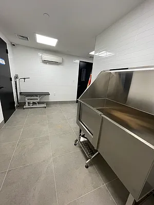 Rented by City Vista Inc | media 19