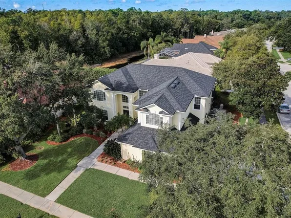 4158 Auston Way, Palm Harbor, FL 34685