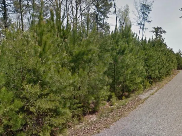 19 Bear Cove Ln, Arley, AL 35541