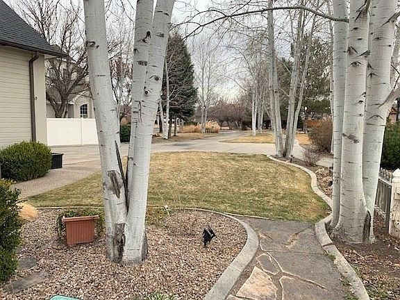 Tree lined driveway