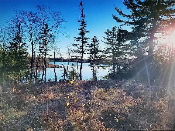 3rd image of Thorne Rd