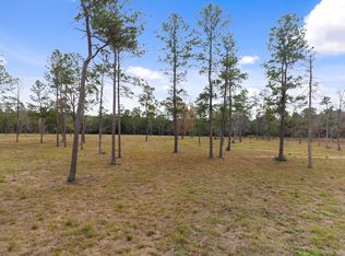 LOT 4 Fm 3152, Livingston, TX 77351