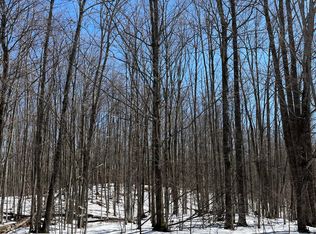 28 Mount Vernon Hills Dr, Vanderbilt, MI