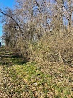 2nd image of 513 Crescent Dr