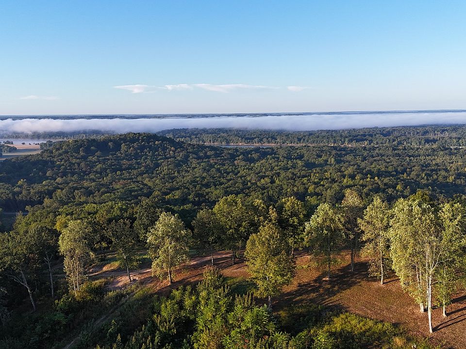 91st image of this home