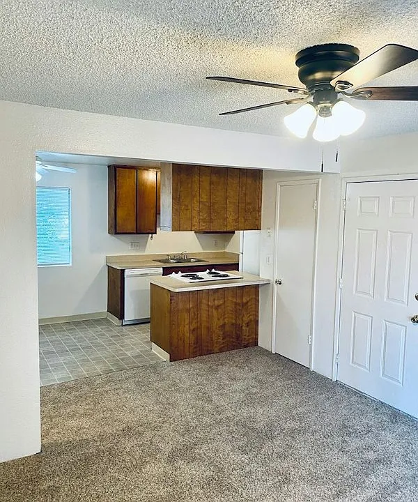 Available Now! Spacious 2 Bedroom Apartment Near Downtown!