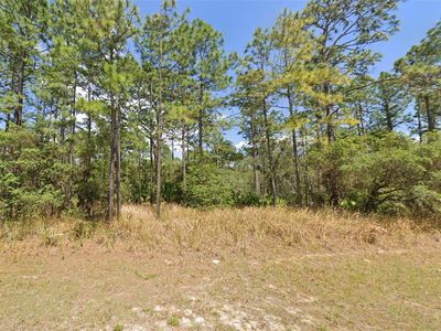4497 N Canarywood Ter Lot 25, Beverly Hills, FL, 34465