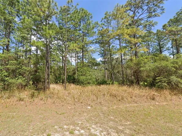 4497 N Canarywood Ter Lot 25, Beverly Hills, FL 34465