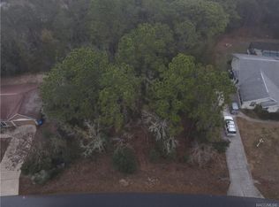 1677 E Pacific Ln, Inverness, FL 34453