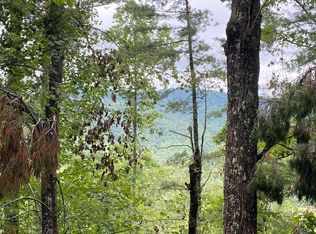 55 Laurel Woods, Suches, GA 30572