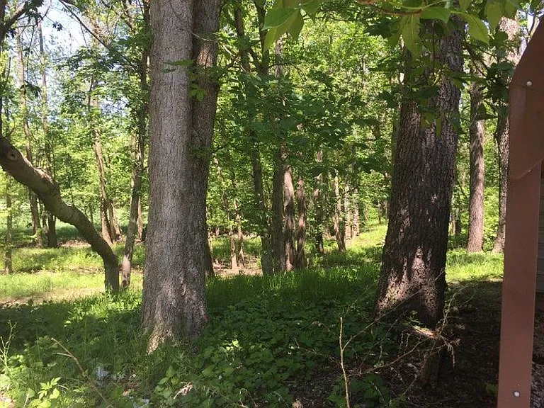 866 Davis Ferry Rd — Photo 19