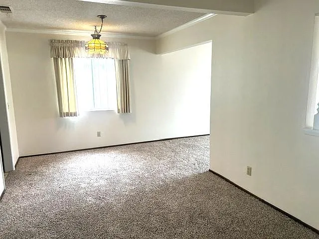 2428 El Rancho Cir — Photo 4