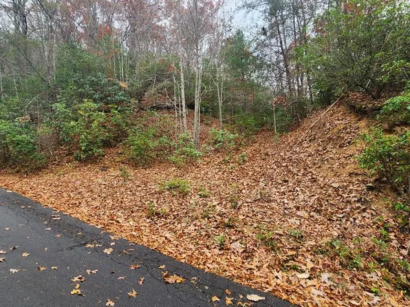 46 Trimont Lake Estates Rd, Franklin, NC 28734
