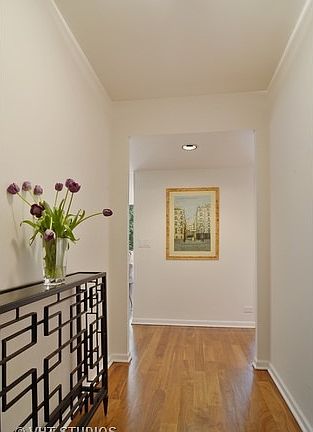 2nd image of 100 E Bellevue Pl APT 5C