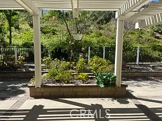 15 Elderberry — Photo 127