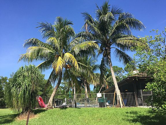 East side if house/pool