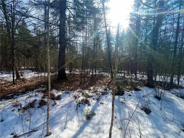38 Acres Borrie Road, Couderay, WI 54828