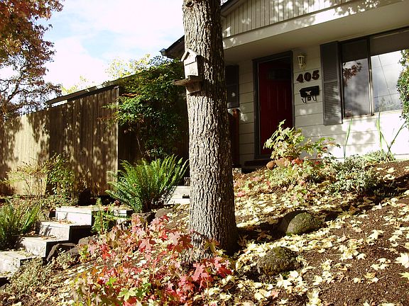 Front - No Mowing