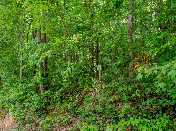 4521 Huffine Rd Lot 285, Loudon, TN 37774