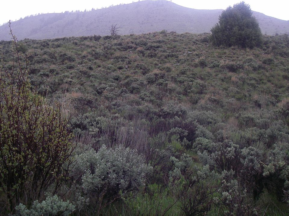 1st image of TBD County Road 20
