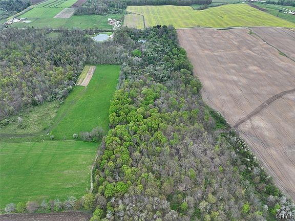 3rd image of Youngs Rd