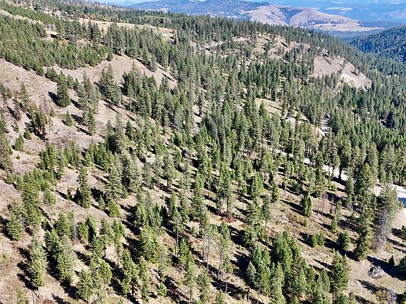 3rd image of LOT 1 Deadman Creek Rd