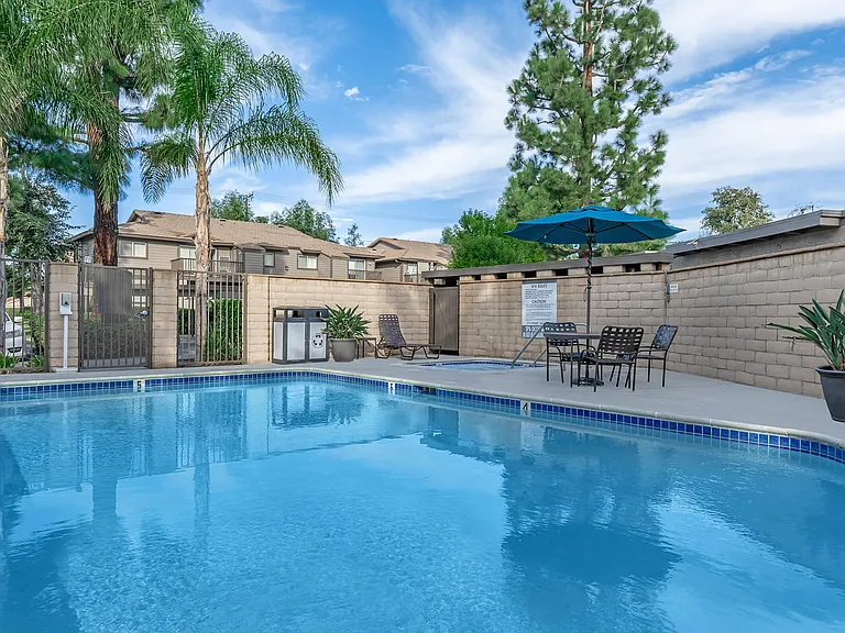 Pinecrest Apartment Homes — Photo 7