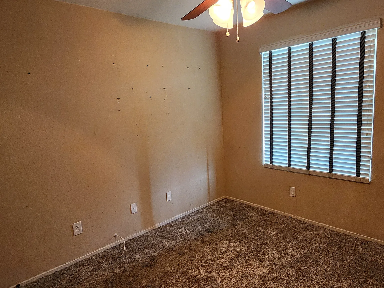 1 bed, 1294 sqft, $1,000 — Photo 3