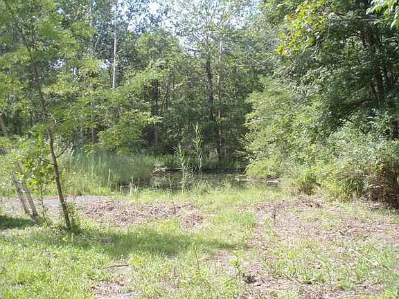 5.7 acres of privacy, ponds and Salmon Creek