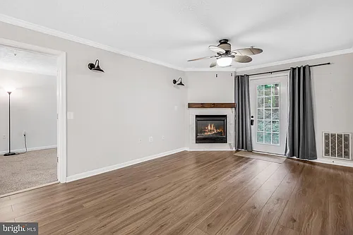 653 Burtons Cove Way #1 Photo 1