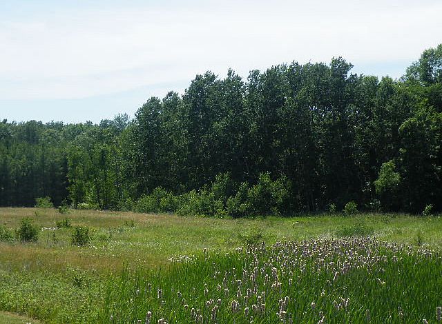 2nd image of E3439 State Road 29