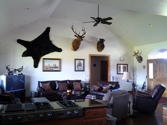 Kitchen / living room