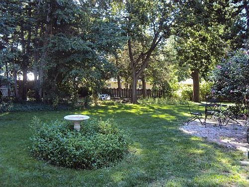 Park-like setting