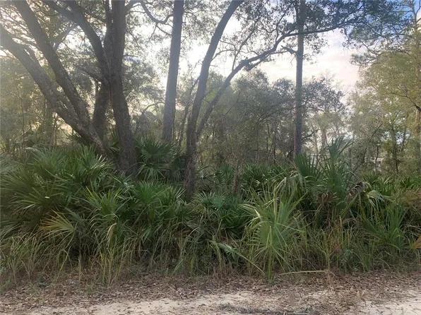 0 SW 102nd Pl, Cedar Key, FL 32625