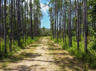  SW 844th St, Steinhatchee, FL 32359