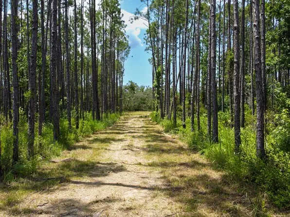 SW 844th St, Steinhatchee, FL 32359