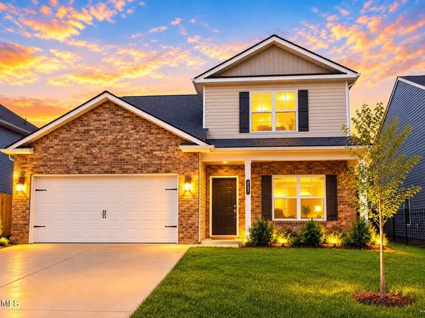 237 Chimney View Loop, Blountville, TN 37617