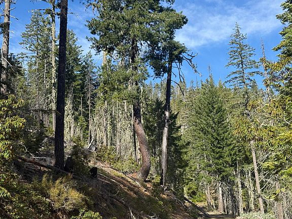 4th image of 2 Onion Mountain