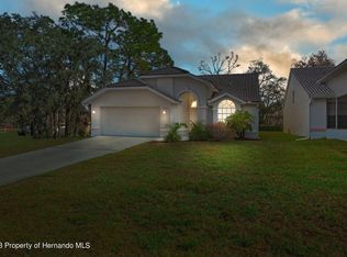 9348 New Orleans Dr, Weeki Wachee, FL 34613