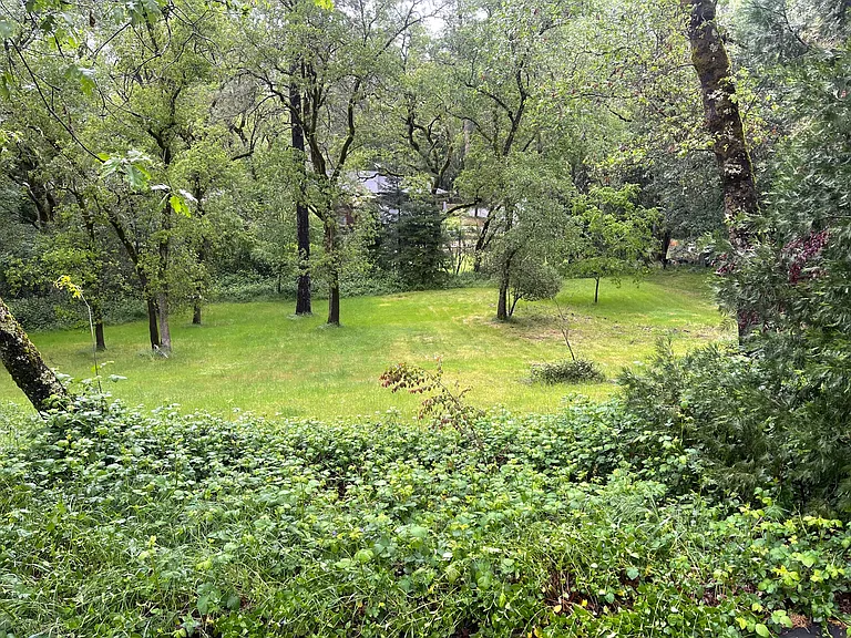 858 Evergreen Ln — Photo 23