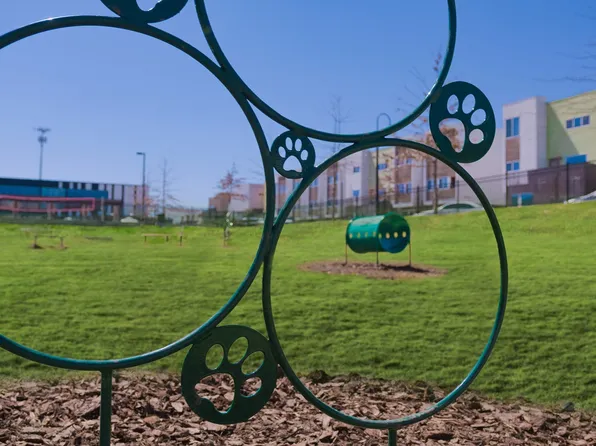 College Town Fayetteville