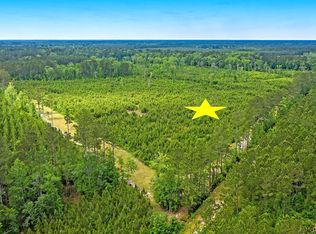 0 Copperhead Rd, Ridgeville, SC 29472